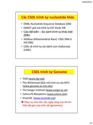 13/03/2013
23
Các CSDL trình tự nucleotide khác
• EMBL Nucleotide Sequence Database (EBI)
• EMEST: giải mã trình tự EST thuộc EBI
• Các đột biến – So sánh trình tự khác biệt
(EBI)
• MitBase (Mitochondrial Base)- CSDL DNA ti
thể (EBI)
• CSDL về trình tự các bệnh cúm (Influenza)
(LANL)
CSDL trình tự Genome
• TIGR (www.tigr.org)
• The Whitehead (Giải mã trình tự của MIT)
(www.genome.wi.mit.edu)
• The Sanger Institute (www.sanger.ac.uk)
• Celera-PE Biosystems (www.celera.com)
• Ensembl (www.ensembl.org)
 Phục vụ cho nhu cầu ngày càng cao về tìm
hiểu bộ gen của sinh vật (genomics)
 