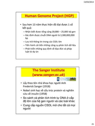 13/03/2013
25
Human Genome Project (HGP)
• Sau hơn 13 năm thực hiện đã đạt được 1 số
kết quả:
– Nhận biết được tổng cộng 20,000 – 25,000 bộ gen
– Xác định được chuỗi DNA người là 3,300,000,000
bp
– Lưu trữ thông tin trong các CSDL lớn
– Tiến hành cải tiến những công cụ phân tích dữ liệu
– Phát triển những quy định về đạo đức và pháp
luật từ dự án
The Sanger Institute
(www.sanger.ac.uk)
• Lấy theo tên nhà khoa học người Anh
Frederick Sanger (1918)
• Nobel sinh học về cấu trúc protein và nghiên
cứu về insulin (1958)
• So sánh và phân tích trình tự DNA ở cấp
độ lớn của hệ gen người và các loài khác
• Cung cấp nguồn CSDL mở cho tất cả mọi
người
 