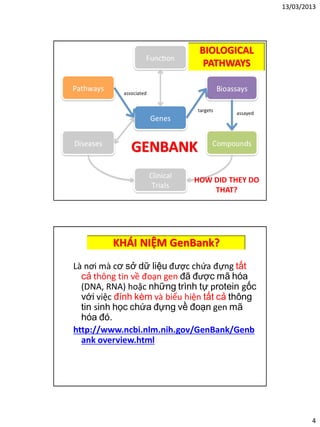 13/03/2013
4
Nguồn: http://ncbi.nlm.nih.gov
BIOLOGICAL
PATHWAYS
HOW DID THEY DO
THAT?
GENBANK
KHÁI NIỆM GenBank?
Là nơi mà cơ sở dữ liệu được chứa đựng tất
cả thông tin về đoạn gen đã được mã hóa
(DNA, RNA) hoặc những trình tự protein gốc
với việc đính kèm và biểu hiện tất cả thông
tin sinh học chứa đựng về đoạn gen mã
hóa đó.
http://www.ncbi.nlm.nih.gov/GenBank/Genb
ank overview.html
 