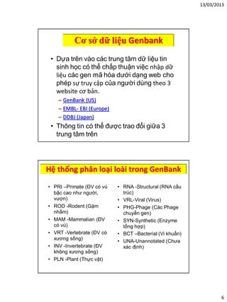 13/03/2013
6
Cơ sở dữ liệu Genbank
• Dựa trên vào các trung tâm dữ liệu tin
sinh học có thể chấp thuận việc nhập dữ
liệu các gen mã hóa dưới dạng web cho
phép sự truy cập của người dùng theo 3
website cơ bản.
– GenBank (US)
– EMBL- EBI (Europe)
– DDBJ (Japan)
• Thông tin có thể được trao đổi giữa 3
trung tâm trên
Hệ thống phân loại loài trong GenBank
• PRI –Primate (ĐV có vú
bậc cao như người,
vượn)
• ROD -Rodent (Gặm
nhấm)
• MAM -Mammalian (ĐV
có vú)
• VRT -Vertebrate (ĐV có
xương sống)
• INV -Invertebrate (ĐV
không xương sống)
• PLN -Plant (Thực vật)
• RNA -Structural (RNA cấu
trúc)
• VRL-Viral (Virus)
• PHG-Phage (Các Phage
chuyển gen)
• SYN-Synthetic (Enzyme
tổng hợp)
• BCT –Bacterial (Vi khuẩn)
• UNA-Unannotated (Chưa
xác định)
 