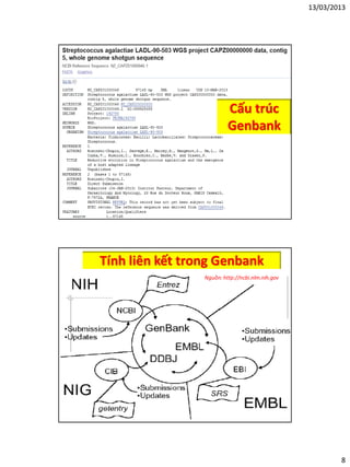 13/03/2013
8
Cấu trúc
Genbank
Tính liên kết trong Genbank
Nguồn: http://ncbi.nlm.nih.gov
 