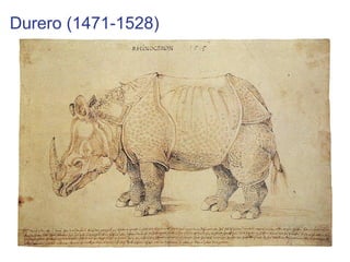 Durero (1471-1528)
 