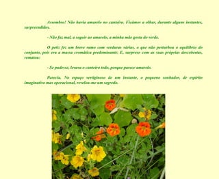 Assombro! Não havia amarelo no canteiro. Ficámos a olhar, durante alguns instantes, surpreendidos. - Não faz mal, a seguir ao amarelo, a minha mãe gosta do verde. O petiz fez um breve ramo com verduras várias, o que não perturbou o equilíbrio do conjunto, pois era a massa cromática predominante. E, surpreso com as suas próprias descobertas, rematou: - Se pudesse, levava o canteiro todo, porque parece amarelo. Parecia. No espaço vertiginoso de um instante, o pequeno sonhador, de espírito imaginativo mas operacional, revelou-me um segredo. 