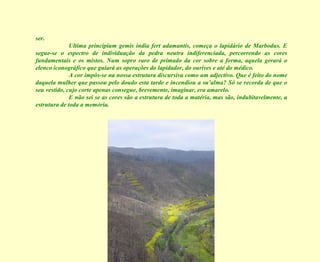 ser. Ultima principium gemis india fert adamantis, começa o lapidário de Marbodus. E segue-se o espectro de individuação da pedra neutra indiferenciada, percorrendo as cores fundamentais e os mistos. Num sopro raro de primado da cor sobre a forma, aquela gerará o elenco iconográfico que guiará as operações do lapidador, do ourives e até do médico. A cor impôs-se na nossa estrutura discursiva como um adjectivo. Que é feito do nome daquela mulher que passou pelo doudo esta tarde e incendiou a su’alma? Só se recorda de que o seu vestido, cujo corte apenas consegue, brevemente, imaginar, era amarelo. E não sei se as cores são a estrutura de toda a matéria, mas são, indubitavelmente, a estrutura de toda a memória. 