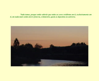 Nada temas, porque então saberás que todas as cores residiram em ti, exclusivamente em ti, em nada mais senão em ti e foste tu, o tintureiro, quem as depositou no universo. 