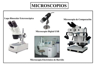 Lupa Binocular Estereoscópica Microscopia de Comparación
Microscopia Electrónico de Barrido
Microscopio Digital USB
MICROSCOPIOS
 