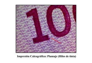 Impresión Calcográfica: Plumaje (Hilos de tinta)
 