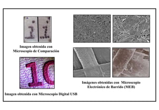 Imagen obtenida con
Microscopio de Comparación
Imágenes obtenidas con Microscopio
Electrónico de Barrido (MEB)
Imagen obtenida con Microscopio Digital USB
 