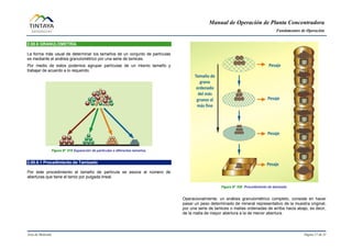 Manual de Operación de Planta Concentradora
Fundamentos de Operación
Área de Molienda Página 17 de 31
2.00.6 GRANULOMETRÍA
La forma más usual de determinar los tamaños de un conjunto de partículas
es mediante el análisis granulométrico por una serie de tamices.
Por medio de estos podemos agrupar partículas de un mismo tamaño y
trabajar de acuerdo a lo requerido.
Figura N° 019 Separación de partículas a diferentes tamaños.
2.00.6.1 Procedimiento de Tamizado
Por este procedimiento el tamaño de partícula se asocia al número de
aberturas que tiene el tamiz por pulgada lineal.
Figura N° 020 Procedimiento de tamizado.
Operacionalmente, un análisis granulométrico completo, consiste en hacer
pasar un peso determinado de mineral representativo de la muestra original,
por una serie de tamices o mallas ordenadas de arriba hacia abajo, es decir,
de la malla de mayor abertura a la de menor abertura.
 