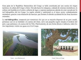 Gran parte de la República Democrática del Congo se halla constituida por una cuenca de origen
tectónico, la cubeta del Congo o Zaire. Elevada hacia los márgenes, rodeada de sistemas montañosos, la
cubeta está hundida en el centro, cubierta de lagos y regiones pantanosas además de estar surcada por la
red hidrográfica del río Congo. La región oriental y sudoriental es el único sector verdaderamente
montañoso, gracias a una alineación de macizos, que forman el reborde occidental de las fosas lacustres
orientales.
La red hidrográfica, compuesta por numerosos ríos que en su mayoría disponen de un gran caudal,
pertenece casi en su totalidad a la cuenca del Zaire, salvo una pequeña región situada al nordeste del
país y que pertenece a la cuenca del río Nilo. Prácticamente, de una forma directa o indirecta, todos los
ríos importantes vierten sus aguas en el río Congo.

Fuente: www.riftmaniacos.net

Fuente: Tintín en el Congo

 