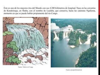 Éste es uno de los mayores ríos del Mundo con sus 4.200 kilómetros de longitud. Nace en las cercanías
de Kundelungu, en Shaba, con el nombre de Lualaba, que conserva, hasta las cataratas Ngaliema,
momento en que se puede hablar propiamente del río Congo.

Fuente: Tintín en el Congo

Fuente: Tintín en el Congo
Fuente: pescaprofesional.net

 
