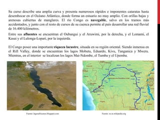 Su curso describe una amplia curva y presenta numerosos rápidos e imponentes cataratas hasta
desembocar en el Océano Atlántico, donde forma un estuario no muy amplio. Con orillas bajas y
arenosas cubiertas de manglares. El río Congo es navegable, salvo en los tramos más
accidentados, y junto con el resto de cursos de su cuenca permite al país desarrollar una red fluvial
de 16.400 kilómetros.
Entre sus afluentes se encuentran el Oubangui y el Aruwimi, por la derecha, y el Lomami, el
Kasai y el Lulonga-Lopari, por la izquierda.
El Congo posee una importante riqueza lacustre, situada en su región oriental. Siendo inmensa en
el Rift Valley, donde se encuentran los lagos Mobutu, Eduardo, Kivu, Tanganica y Mweru.
Mientras, en el interior se localizan los lagos Mai-Ndombe, el Tumba y el Upemba.

Fuente: lagosafricanos.blogspot.com

Fuente: es.m.wikipedia.org

 