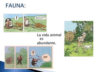 La vida animal
es
abundante.
 