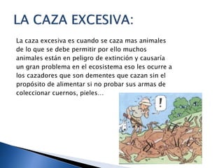 La caza excesiva es cuando se caza mas animales
de lo que se debe permitir por ello muchos
animales están en peligro de extinción y causaría
un gran problema en el ecosistema eso les ocurre a
los cazadores que son dementes que cazan sin el
propósito de alimentar si no probar sus armas de
coleccionar cuernos, pieles…
 