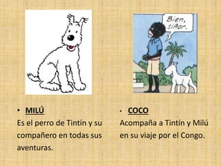 • MILÚ
Es el perro de Tintín y su
compañero en todas sus
aventuras.
• COCO
Acompaña a Tintín y Milú
en su viaje por el Congo.
 