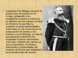 • Leopoldo II de Bélgica impulsó la
producción de caucho en el
Congo, obligando a los
congoleños usando la violencia,
su política con los nativos se basó
en el terror lo que llevó a
cometer muchas barbaridades,
entre ellas la más conocida es la
amputación de manos a los
nativos y a sus familias, se calcula
que durante el dominio de
Leopoldo II fueron asesinados
unos diez millones de nativos ya
sea esclavizados, mutilados,
asesinados o amenazados de
muerte, de forma que trabajasen
en la producción de caucho.
 