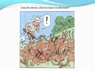 Caza de ciervos: ¿Esto es caza o es diversión?
 