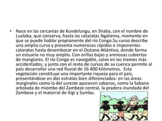 • Nace en las cercanías de Kundelungu, en Shaba, con el nombre de
Lualaba, que conserva, hasta las cataratas Ngaliema, momento en
que se puede hablar propiamente del río Congo.Su curso describe
una amplia curva y presenta numerosos rápidos e imponentes
cataratas hasta desembocar en el Océano Atlántico, donde forma
un estuario no muy amplio. Con orillas bajas y arenosas cubiertas
de manglares. El río Congo es navegable, salvo en los tramos más
accidentados, y junto con el resto de cursos de su cuenca permite al
país desarrollar una red fluvial de 16.400 kilómetros. Esta
vegetación constituye una importante riqueza para el país,
presentándose en dos estratos bien diferenciados: en las áreas
marginales como la del sureste aparecen sabanas, como la Sabana
arbolada de miombo del Zambeze central, la pradera inundada del
Zambeze y el matorral de Itigi y Sumbu.
 