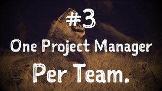 A Tiny List of Immutable Project Management Rules For Digital Agencies