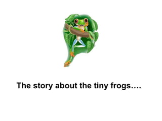 The story about the tiny frogs….
 