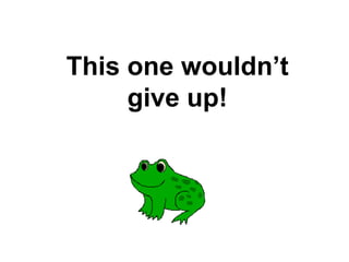 This one wouldnt
give up!
 