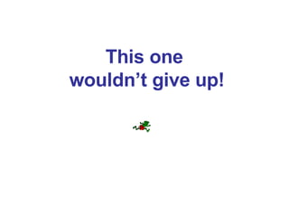 This one  wouldn’t give up! 