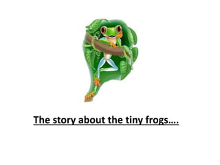 The story about the tiny frogs….
 