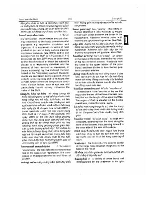 Từ điển y học anh việt