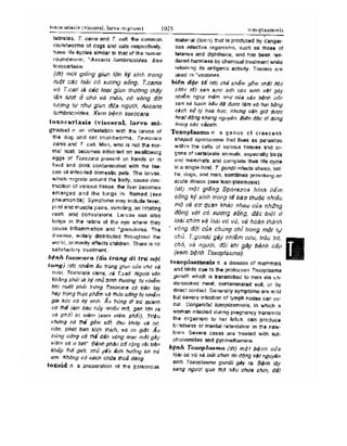 Từ điển y học anh việt