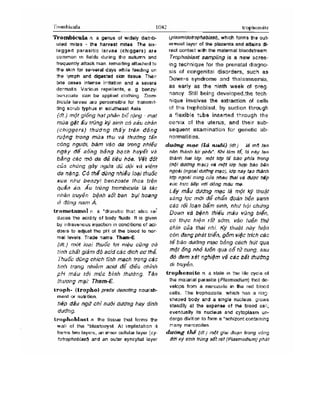 Từ điển y học anh việt