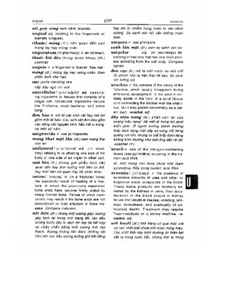 Từ điển y học anh việt