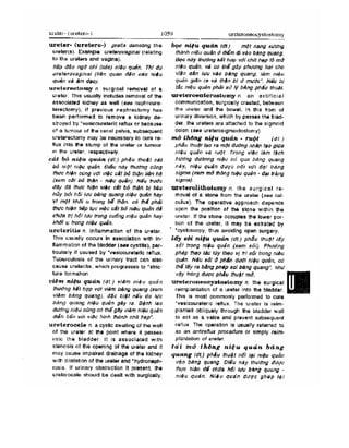 Từ điển y học anh việt