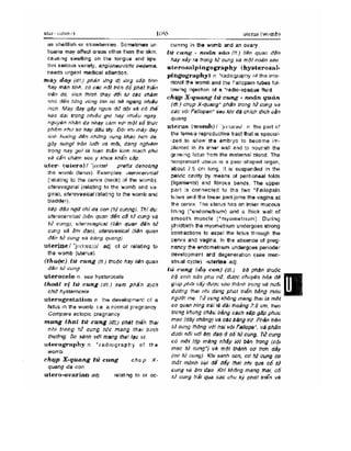 Từ điển y học anh việt