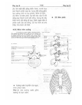 Từ điển y học anh việt