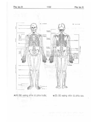 Từ điển y học anh việt