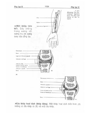 Từ điển y học anh việt