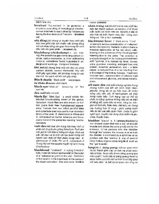 Từ điển y học anh việt