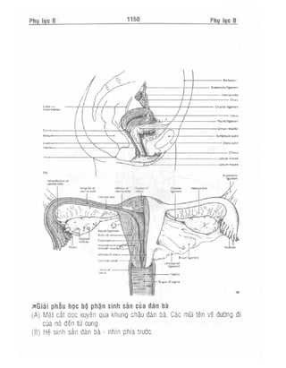 Từ điển y học anh việt
