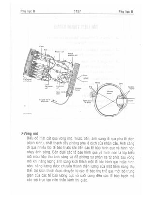 Từ điển y học anh việt