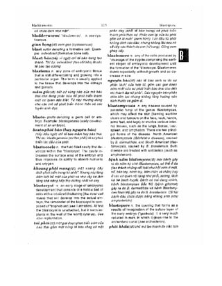 Từ điển y học anh việt