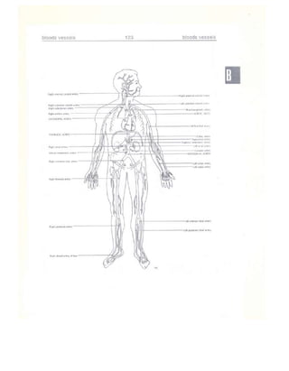 Từ điển y học anh việt
