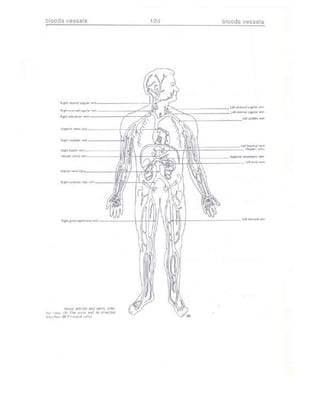 Từ điển y học anh việt