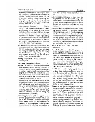 Từ điển y học anh việt