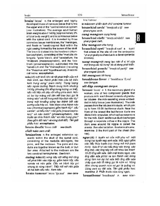 Từ điển y học anh việt