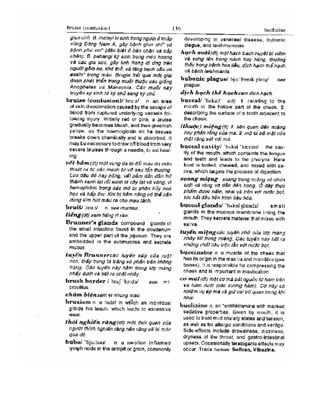 Từ điển y học anh việt