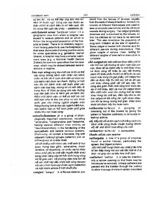 Từ điển y học anh việt