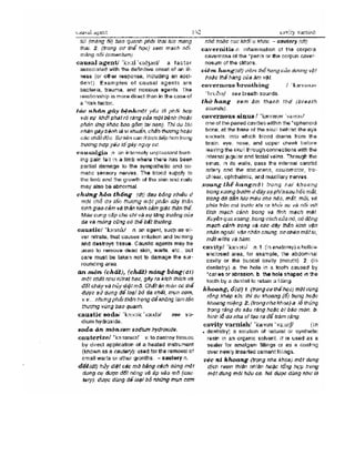 Từ điển y học anh việt