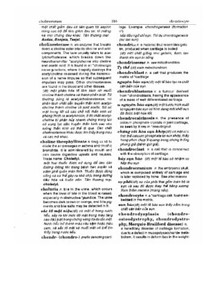 Từ điển y học anh việt