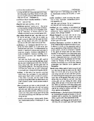 Từ điển y học anh việt