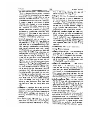 Từ điển y học anh việt